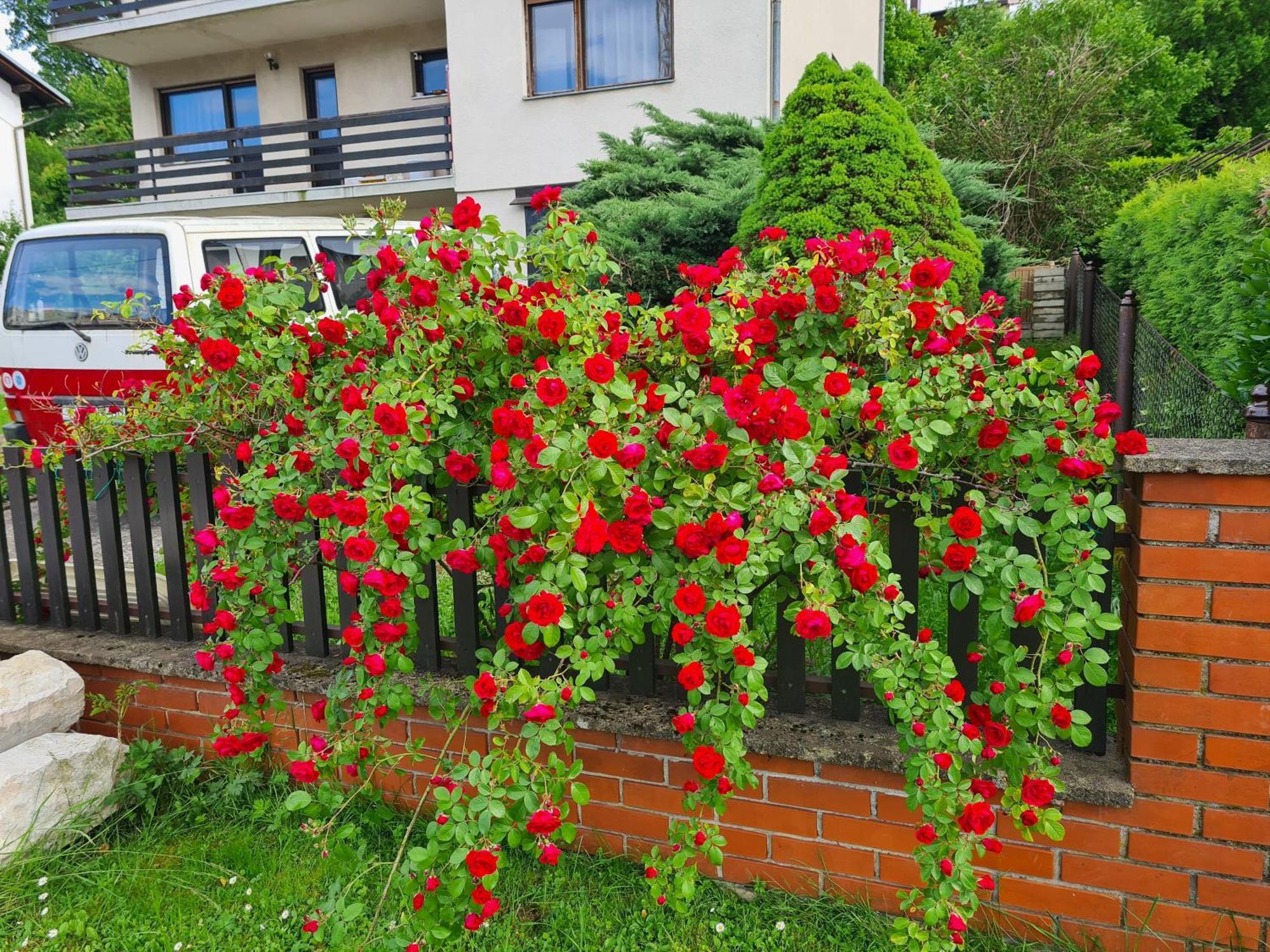 Happy Sparrow Karlovac Exterior foto